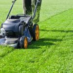 Understanding Garden Mysteries: From White Moths to Soil Secrets