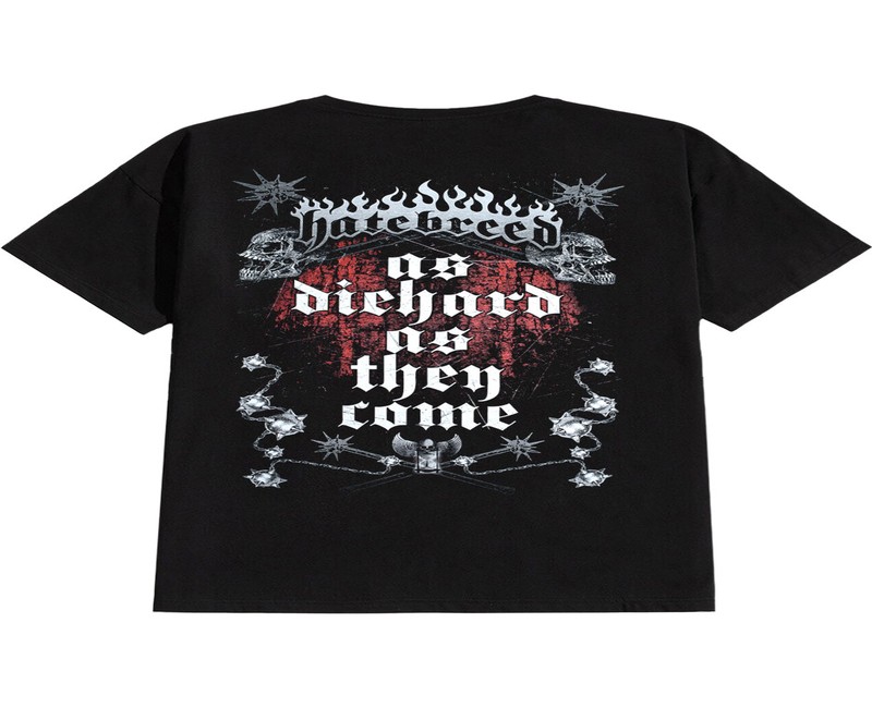 How Does The Undertaker Merch Complete Your Fan Collection?